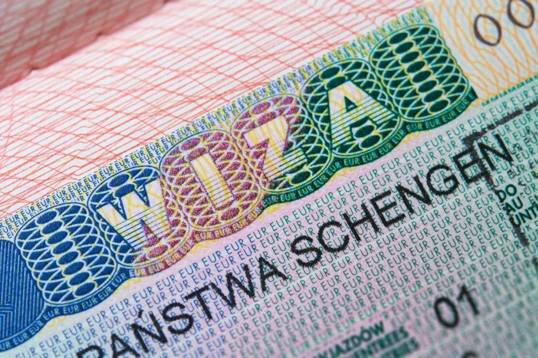 'Almanya şu anda dünyanın hiçbir ülkesinde Türkiye'dekinden daha fazla vize vermiyor'